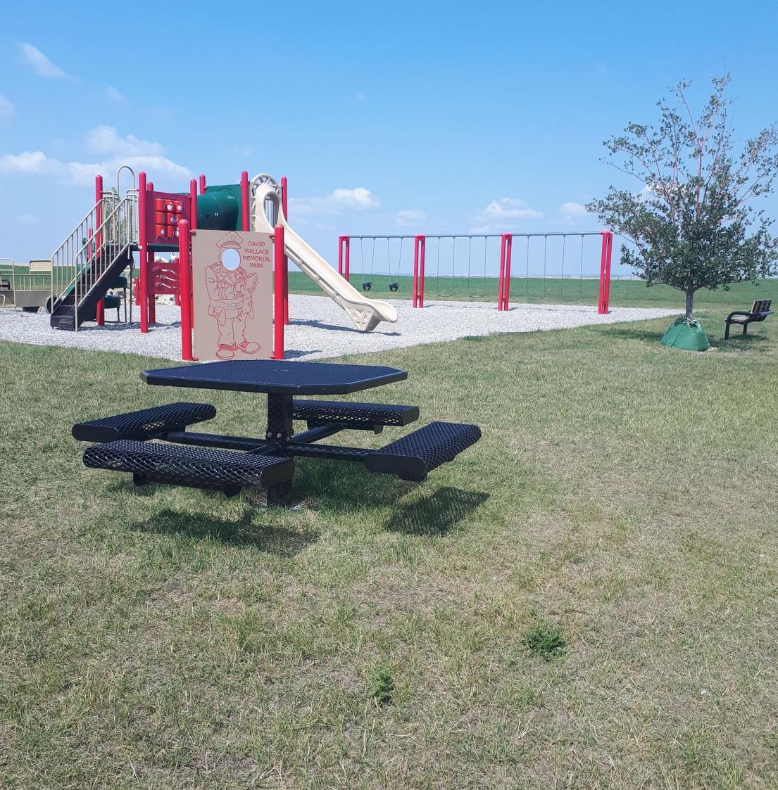 Playground area for Dave Wallace Memorial Park. There is a picnic table and a sand pit with a slide, swings, and a jungle gym.